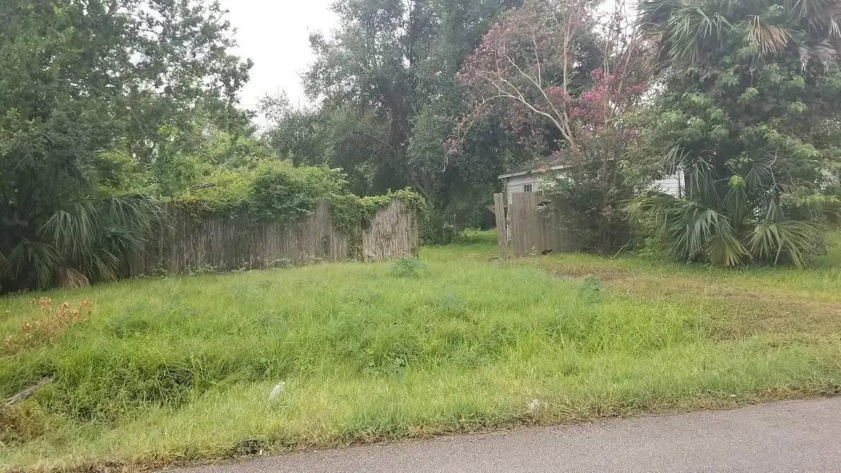 250 N Carolina Street, Houston, TX 77029 - #1