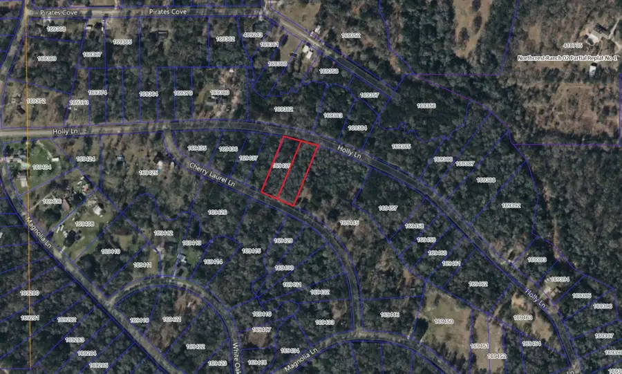000 Cherry Laurel Lane, New Caney, TX 77357 - #2