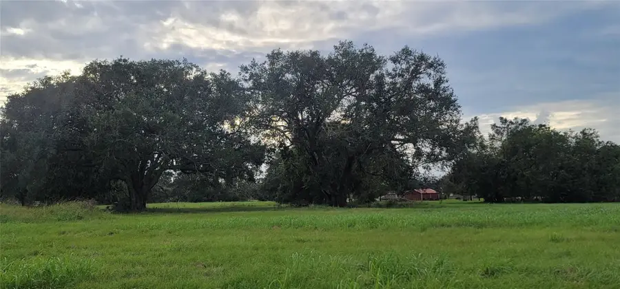 1338 Mill Road, Angleton, TX 77515 - #2