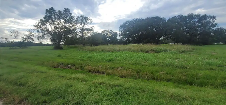 1338 Mill Road, Angleton, TX 77515 - #3