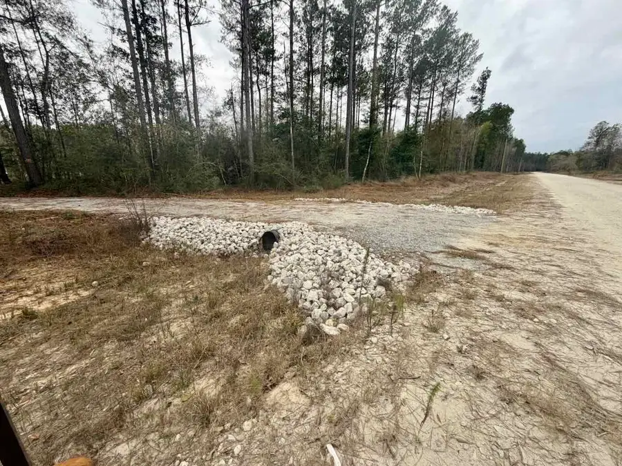 8835 Carter Ranch Road, Kountze, TX 77625 - Image #3