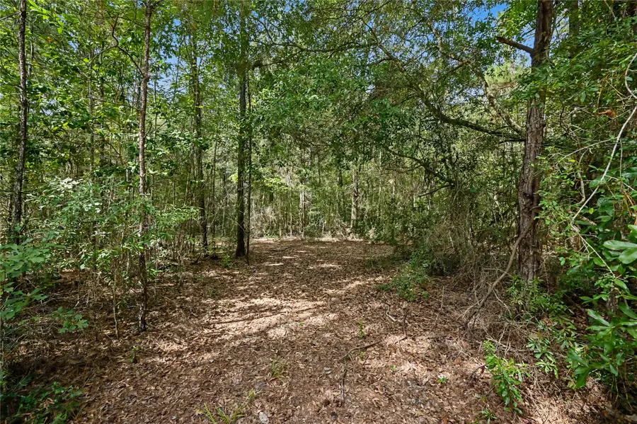 1153 Smith Lane, Cleveland, TX 77328 - #2