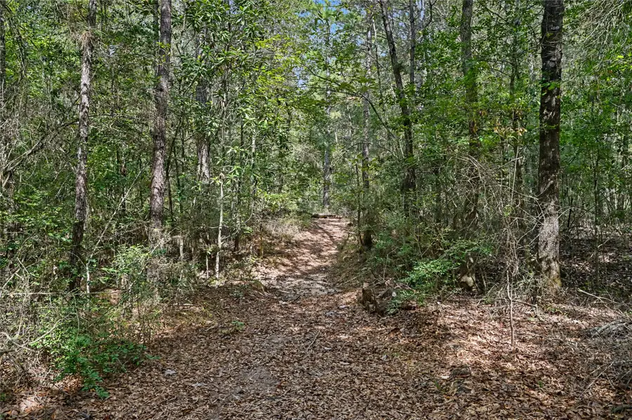 1153 Smith Lane, Cleveland, TX 77328 - #3