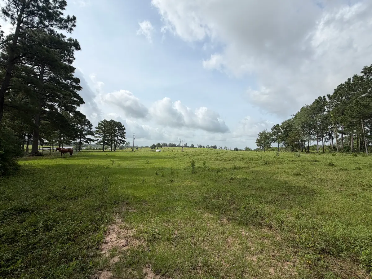 6779 County Road 215, Anderson, TX 77830 - #1