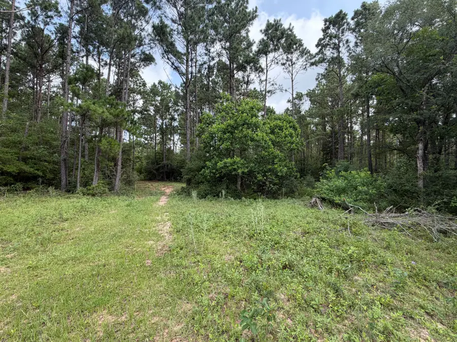6779 County Road 215, Anderson, TX 77830 - #3