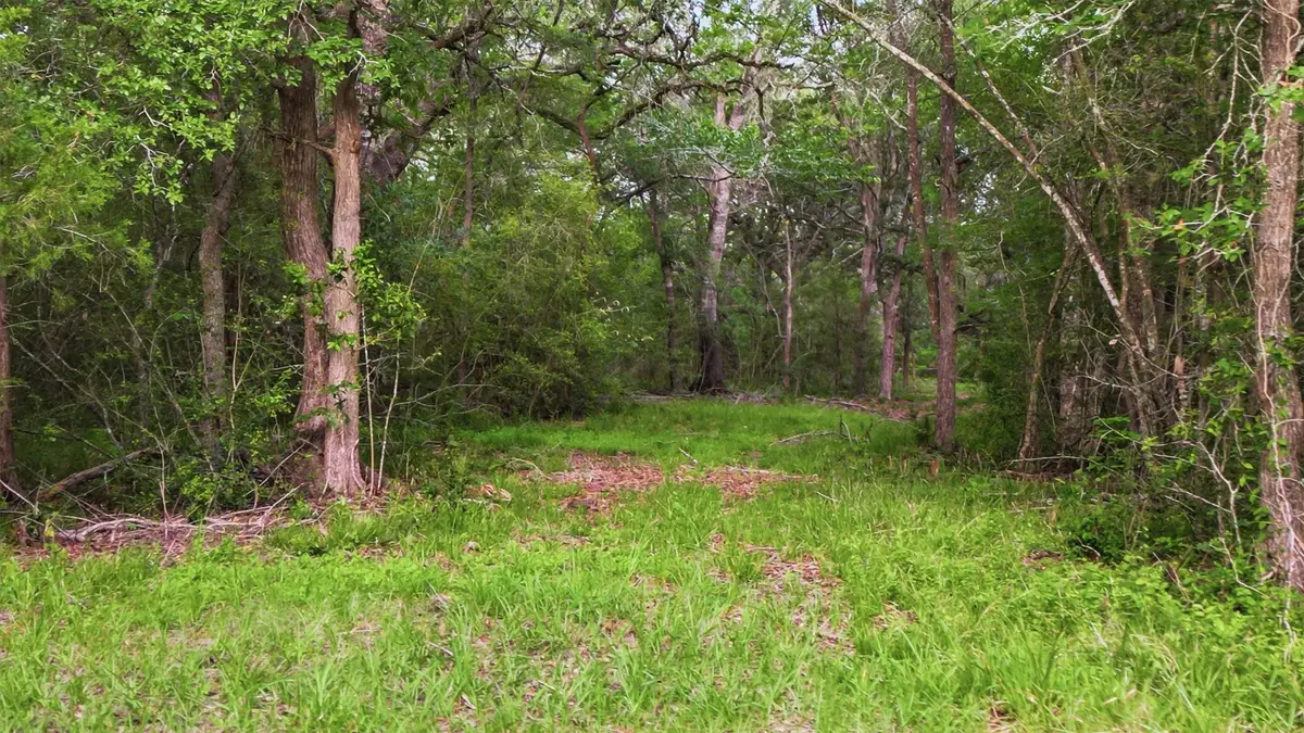 1165 Cr 213 Tract 3, Weimar, TX 78962 - #1