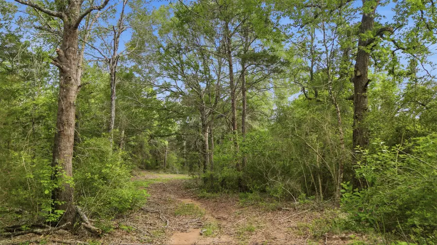 1165 Cr 213 Tract 3, Weimar, TX 78962 - #3