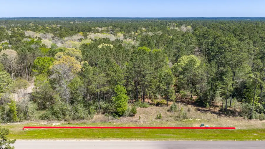 15824 Wood Grove Way, Willis, TX 77378 - #3