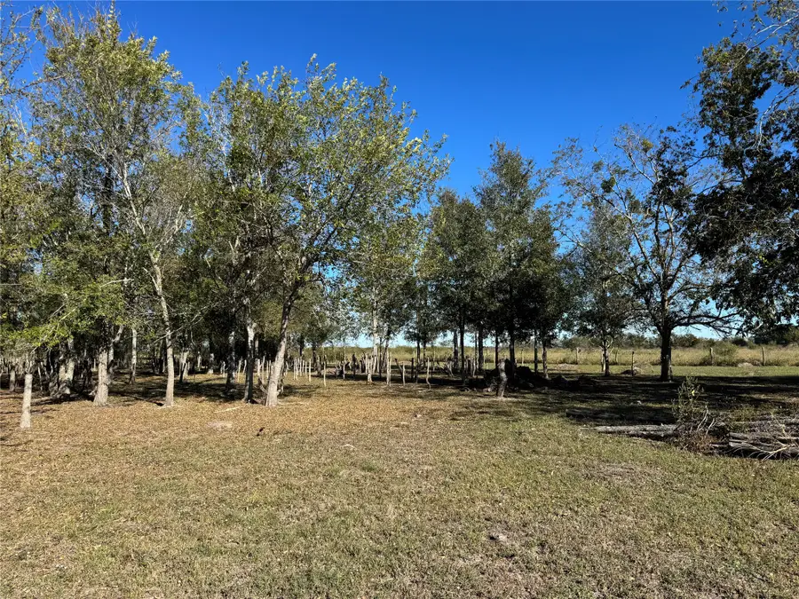 LOT 13 0 Mesquite Road, Wallis, TX 77485 - #3