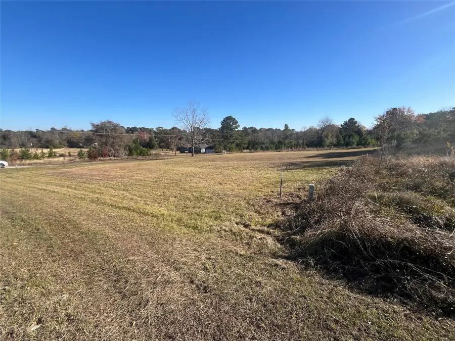TBD Grassy Lane, Coldspring, TX 77331 - Image #3
