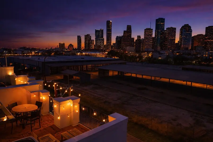 1728 Dart Street, Houston, TX 77007 - #3