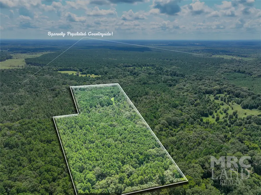 00 County Road 3366, Tenaha, TX 75974 - Image #2