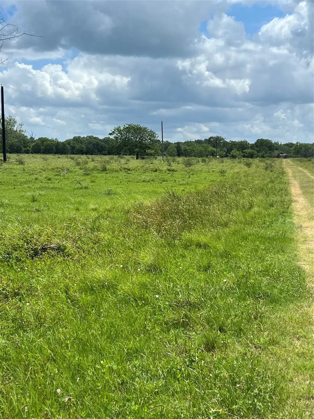 14113 Peters Road, Needville, TX 77461 - #1