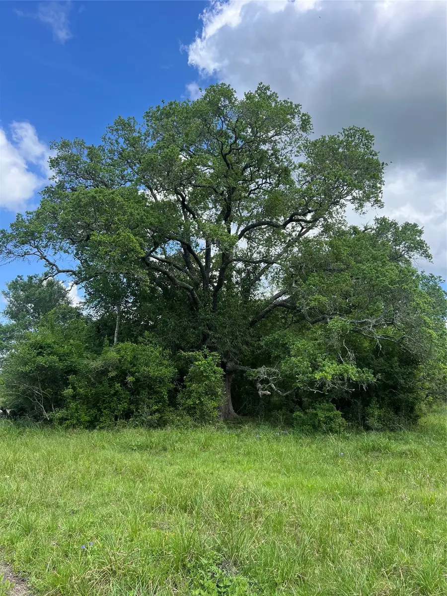 14113 Peters Road, Needville, TX 77461 - #2