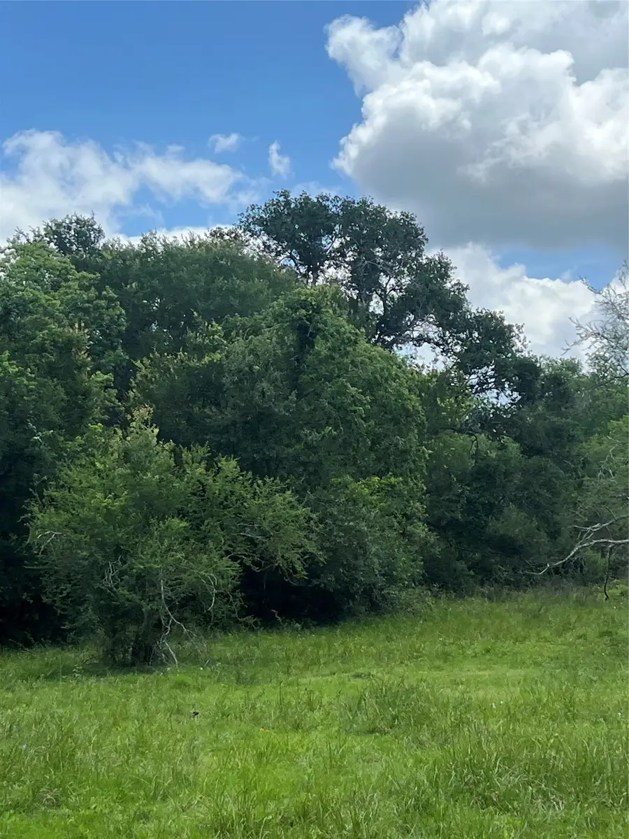 14113 Peters Road, Needville, TX 77461 - #3