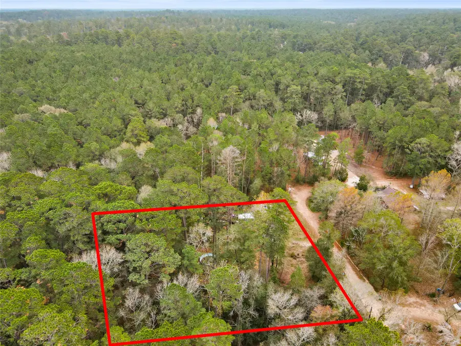 99 Fawn Drive, New Waverly, TX 77358 - Image #2