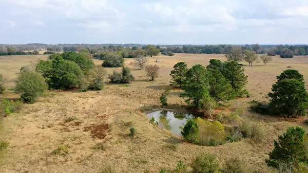 TBD Pr 1260, Centerville, TX 75833