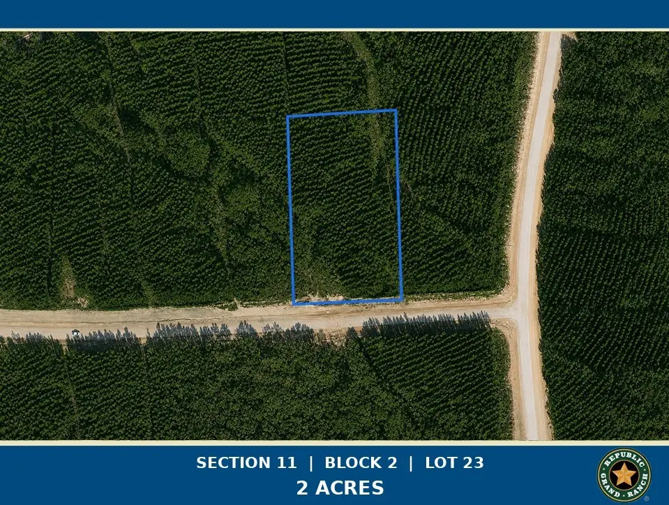 15979 Forest Grove Drive, Willis, TX 77378 - #1