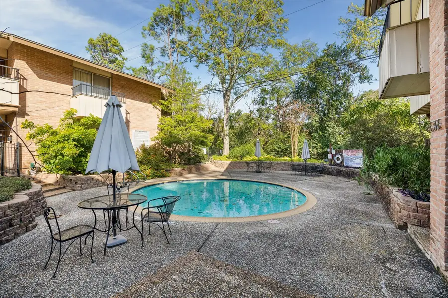 6304 Crab Orchard Road #6304, Houston, TX 77057 - Image #2