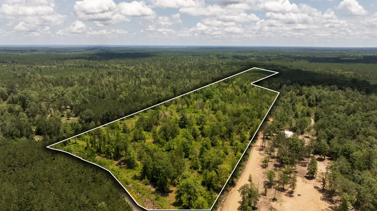 00 Cr 4040, Woodville, TX 75979 - #1