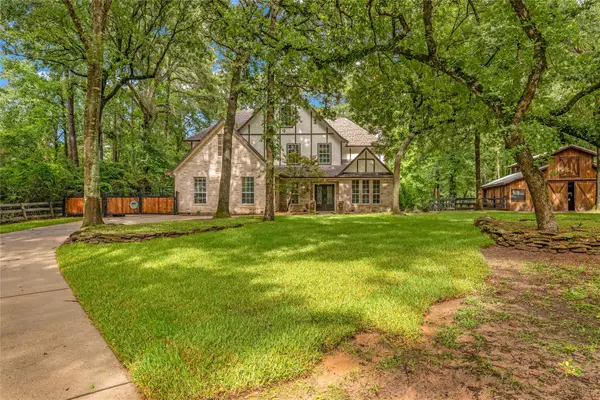 17203 Gold Panning Ct Court, Magnolia, TX 77355