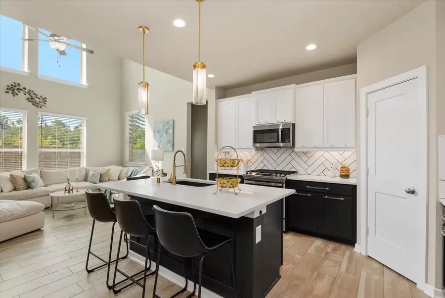 17814 Tree Of Heaven, Conroe, TX 77385 - #3