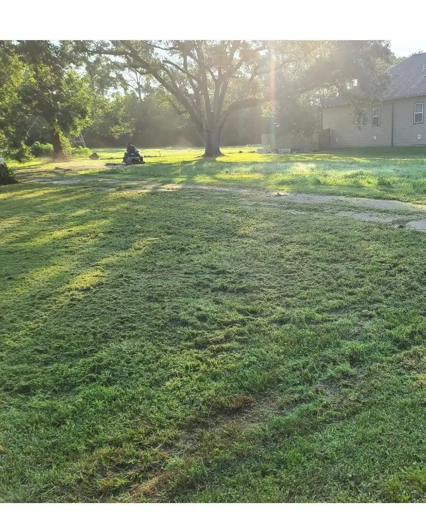 2815 Timber Drive, Dickinson, TX 77539 - #1