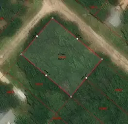 213 Neibel Drive, Livingston, TX 77351 - #2