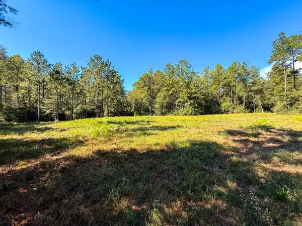 TBD County Road 4416, Spurger, TX 77660