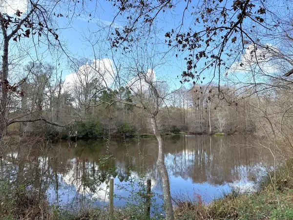 1471 County Road 4320, Woodville, TX 75979