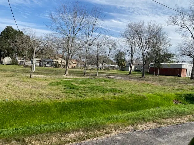 TBD Plum Street, Bedias, TX 77831 - Image #1