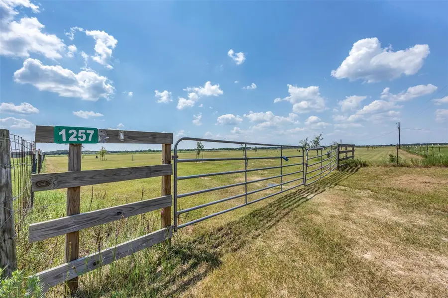 1257 County Road 141, Rock Island, TX 77470 - #2