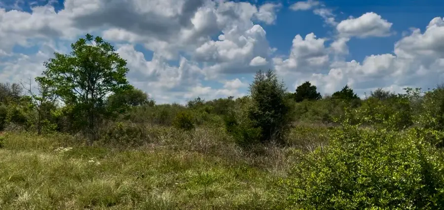 5815 Wild Flower Road, Sealy, TX 77474 - #3