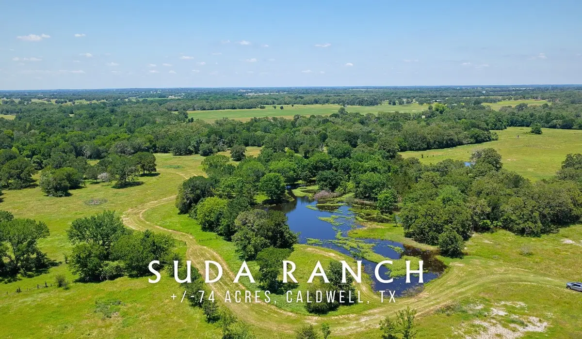 TBD County Road 132 - 74 Acres, Caldwell, TX 77836 - #1