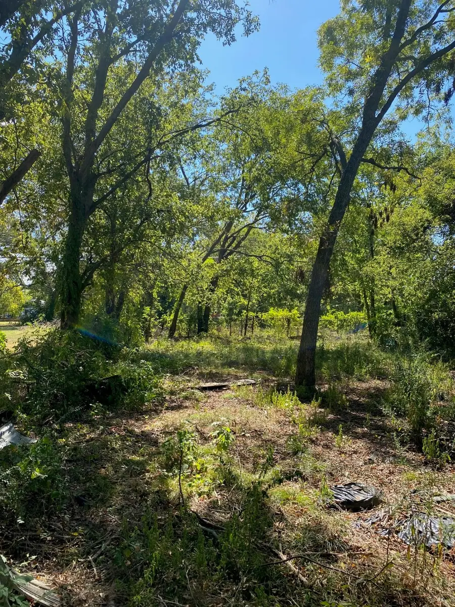 624 W Walker Street, Denison, TX 75020 - Image #3