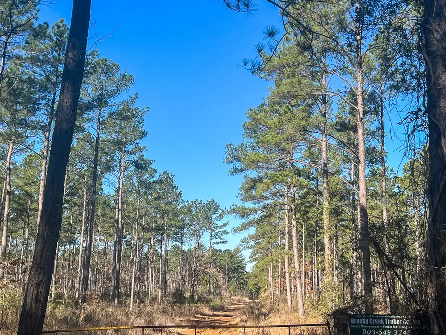 3 Louisville Road, Pennington, TX 75845 - #3