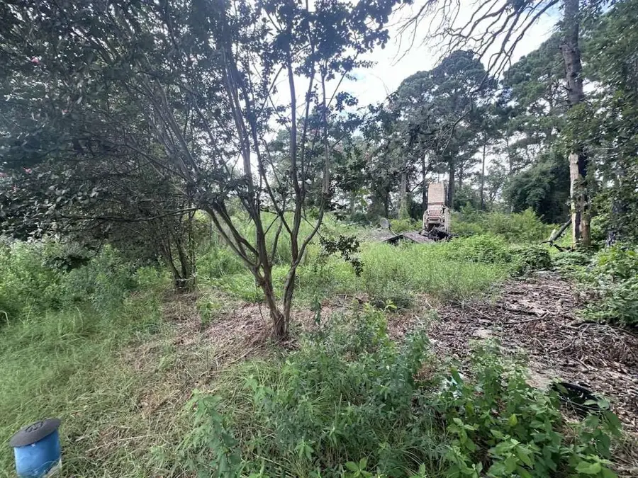 17230 Ravenwood Drive, Flint, TX 75762 - Image #3