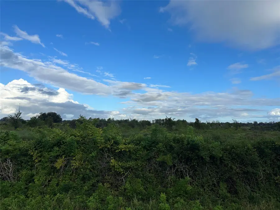 7017 County Road 100, Boling, TX 77420 - Image #2