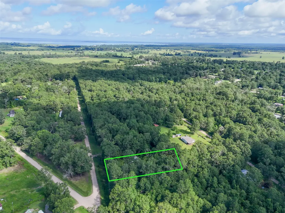 116 San Juan, Goodrich, TX 77335 - #1