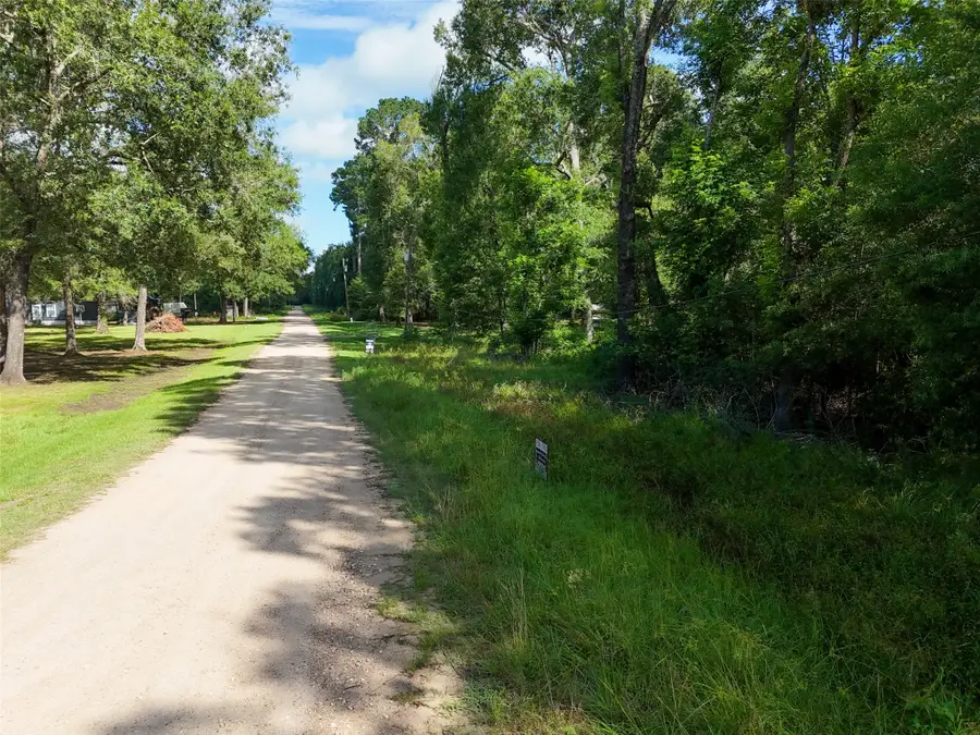 116 San Juan, Goodrich, TX 77335 - #3