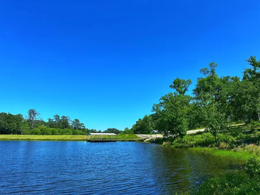 Tract 153 Pr 1311, Centerville, TX 75833 - #3