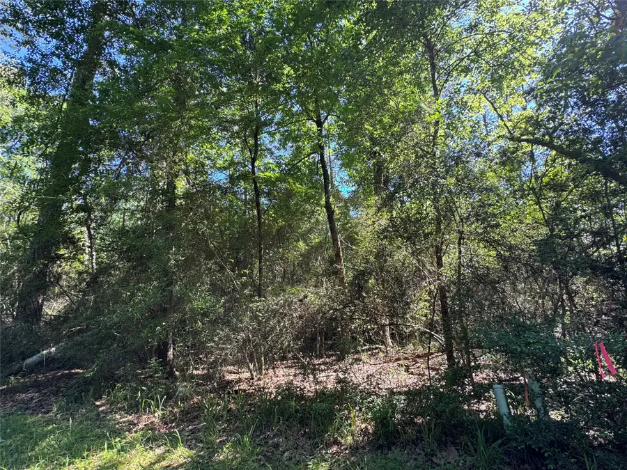 28 Laurel Oak, Trinity, TX 75862 - #2