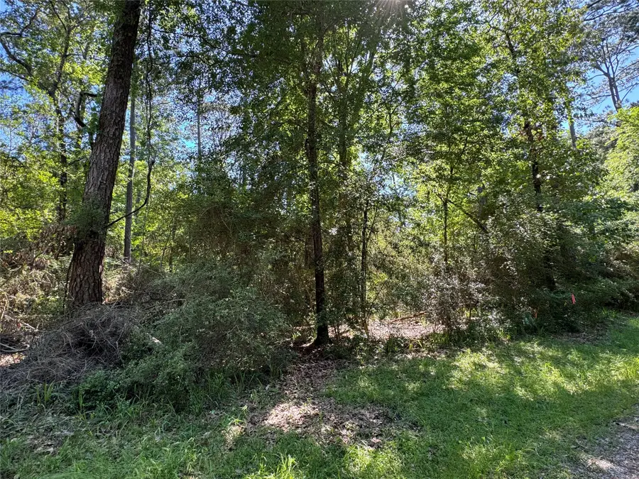 28 Laurel Oak, Trinity, TX 75862 - #3