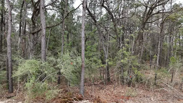 TBD Eureka, Corrigan, TX 75939