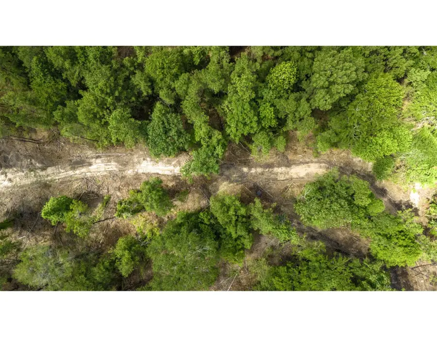 TBD Lot 003 Holland Road, Moscow, TX 75960 - #2