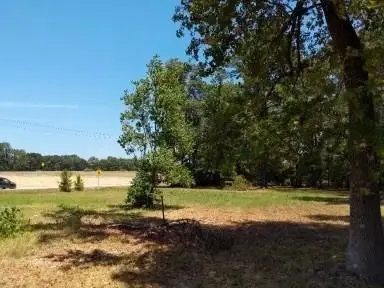 26664 Fm 1485, New Caney, TX 77357 - Image #3