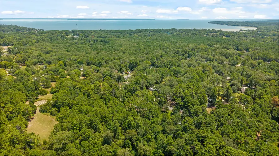 350 Oak Tree Drive, Point Blank, TX 77364 - #3