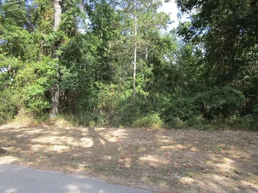 183 Lakeland Road, Huntsville, TX 77320 - #2