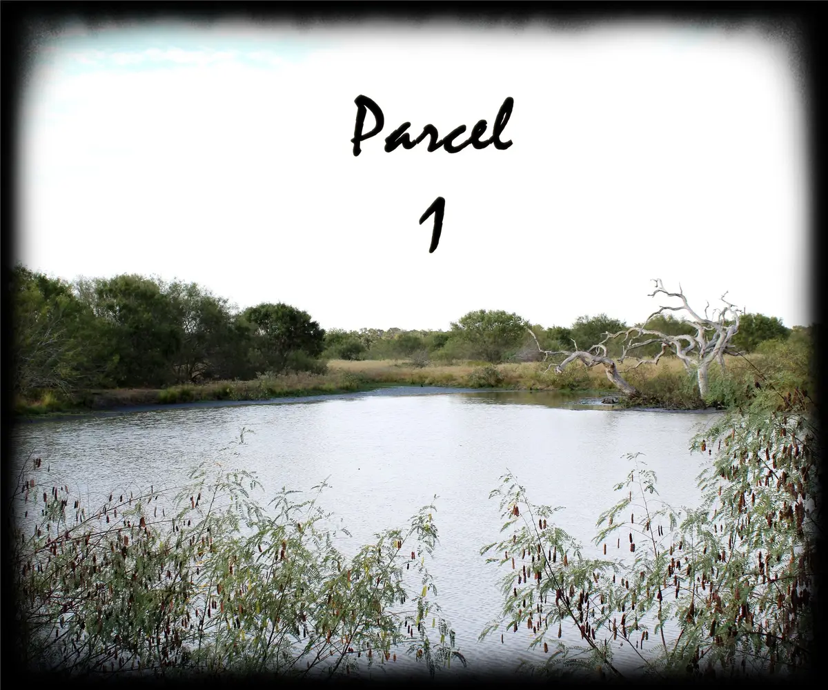 Parcel 1 Lobo Lane, Columbus, TX 78934 - #1
