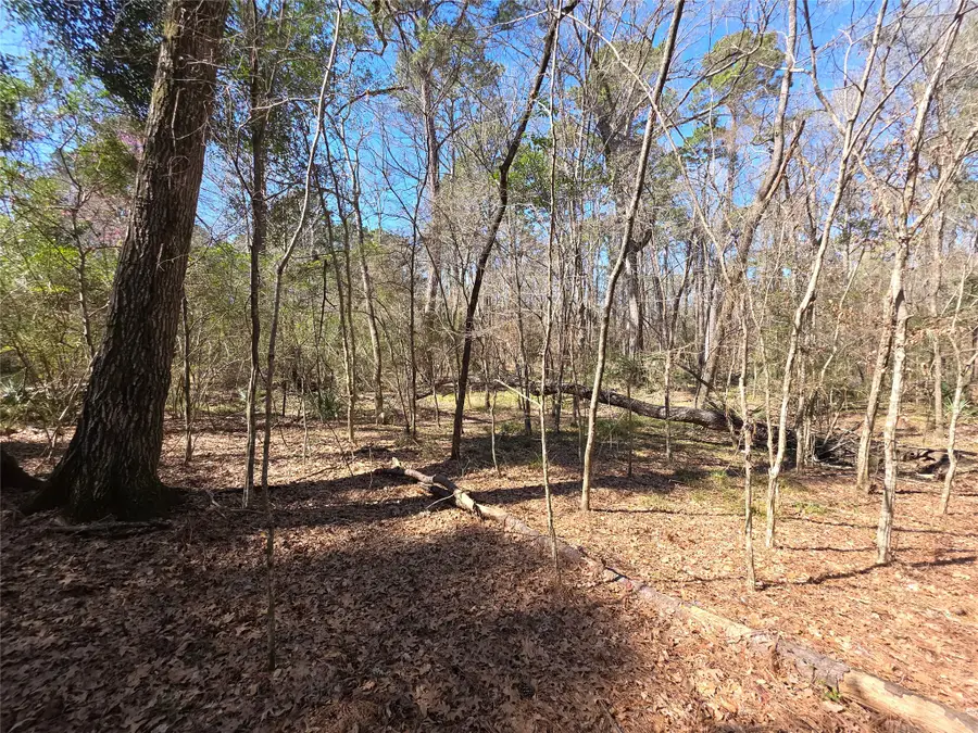 TBD Blanks Bend, Coldspring, TX 77331 - #2